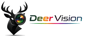 Deer Vision